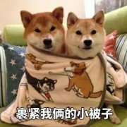 g˾ f90ȱXゃϲ˯Xʲô